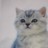 �٢��ݴ���/�±�/ �����ã��!