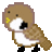���ޥå�����