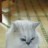 �ҡ����2012�ڿ����Ȥ���쵤̣��