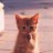 �Ҥ����󡢥��른�㡼��st
