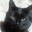 �ܥ��ˤ�� =^���؎�^=